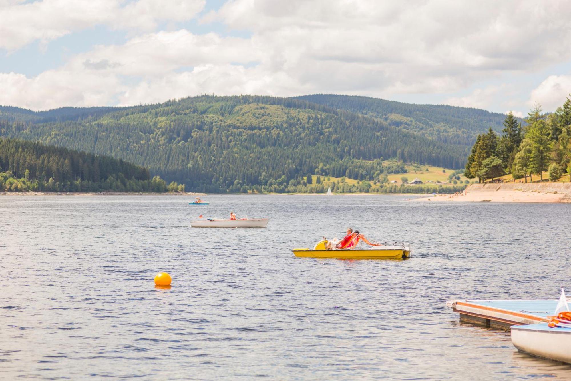 Haus Findling, 10 Personen, Schluchsee, Hochschwarzwaldkarte Luaran gambar