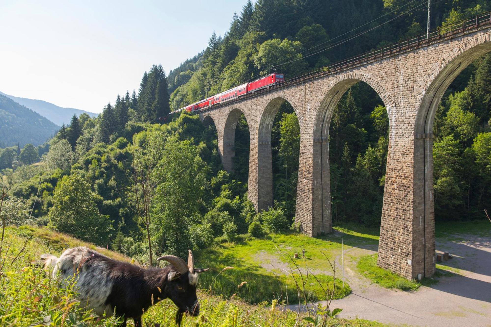 Haus Findling, 10 Personen, Schluchsee, Hochschwarzwaldkarte Luaran gambar