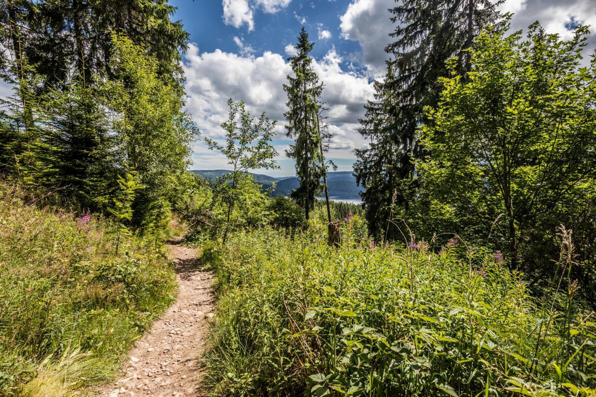 Haus Findling, 10 Personen, Schluchsee, Hochschwarzwaldkarte Luaran gambar