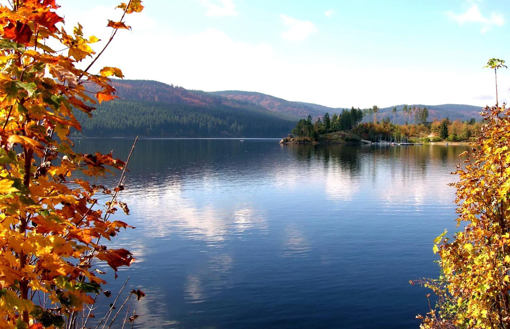 Haus Findling, 10 Personen, Schluchsee, Hochschwarzwaldkarte Luaran gambar